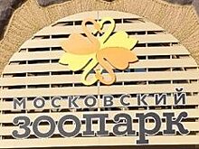 Онлайн-лекция о птицах состоится на страницах Московского зоопарка в социальных сетях