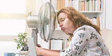 Специалист Дроздова рассказала о способах сохранения продуктивности в жару