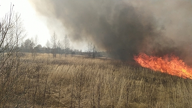 В пригороде Воронежа ликвидировали ландшафтные пожары