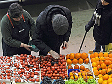 Россельхознадзор не снимет ограничения на ввоз продуктов из Турции