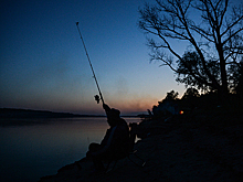 Россиянам запретили ловить рыбу в озере из-за загадочной болезни