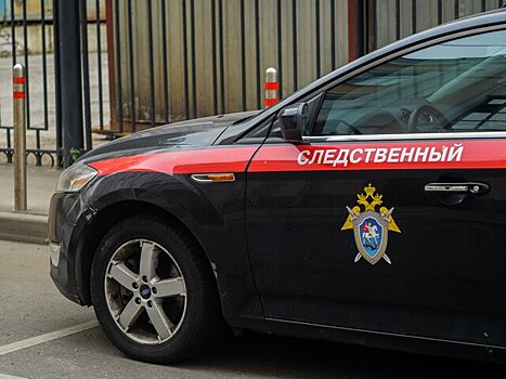 Уголовное дело возбуждено против женщины, нелегально торговавшей в Москве