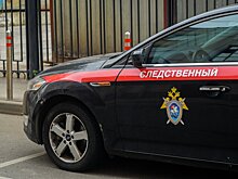 Уголовное дело возбуждено против женщины, нелегально торговавшей в Москве
