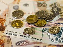 Экс-владельцы аэропорта Домодедово использовали бюджетные средства для погашения больших кредитов в евробондах