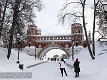 Прямая трансляция с выставки прошла в «Царицыне»