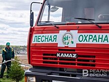 В Татарстане выросло число термических точек и возгораний на территориях, граничащих с лесным фондом