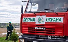 В Татарстане выросло число термических точек и возгораний на территориях, граничащих с лесным фондом
