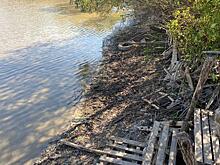 В Курской области предприятие оштрафовано за складирование мусора на берегу реки