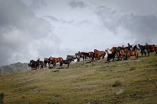 Россияне устремились на отдых в две республики бывшего СССР