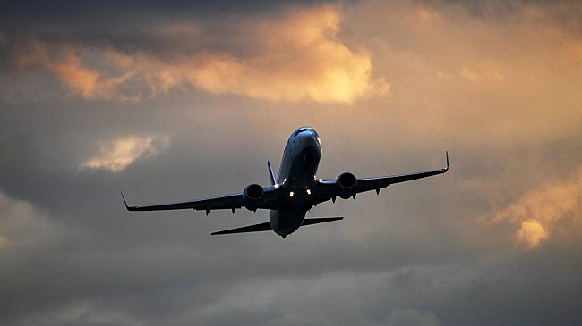 Московские аэропорты возобновили работу