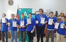 Четверо красногорцев заняли призовые места в конкурсе «Абилимпикс»