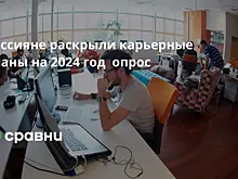 Россияне раскрыли карьерные планы на 2024 год  опрос
