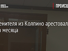 Расчленителя из Колпино арестовали на два месяца