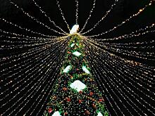 Рязань станет Новогодней столицей в 2026 году