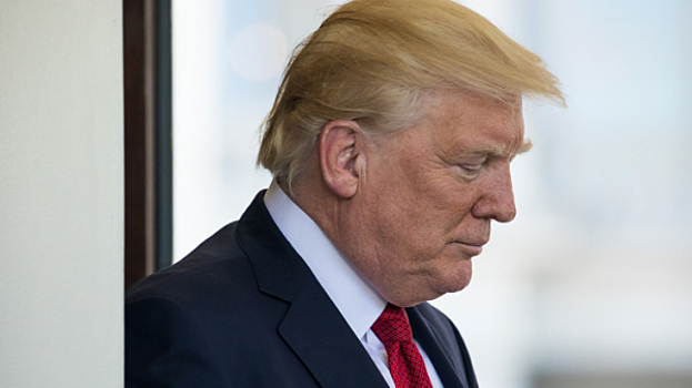 Мэр Брюсселя надеется, что Трамп больше не назовет город «крысиной норой»
