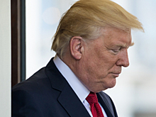 Мэр Брюсселя надеется, что Трамп больше не назовет город «крысиной норой»