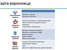 В Воронеже предложили ввести многофункциональные электронные транспортные карты