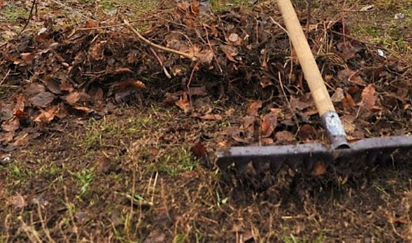 В Рязани 21 октября пройдут субботники в скверах