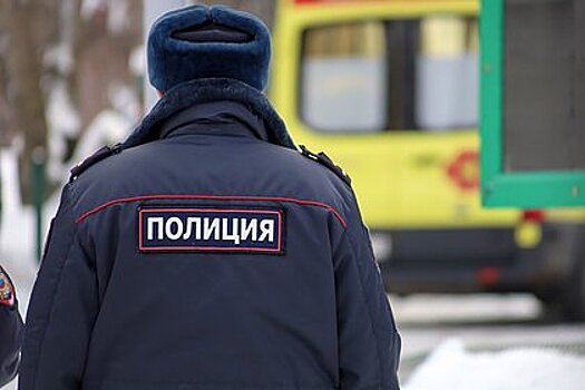 Россиянин выстрелил в голову шумному соседу из травматического пистолета