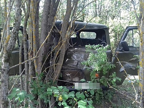 Под Торжком УАЗ врезался в дерево