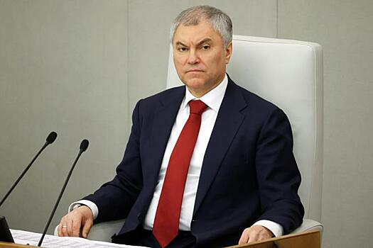 Володин посоветовал новым аудиторам Счетной палаты руководствоваться только законом