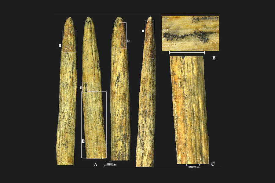 В России нашли древнейший в Европе костяной наконечник копья