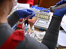 Ученые выяснили, как длительная заморозка влияет на раковые клетки