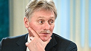 Песков ответил на вопрос о политическом убежище для Илона Маска