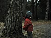 Чтобы потеряшек стало меньше: советы от «Лизы Алерт»