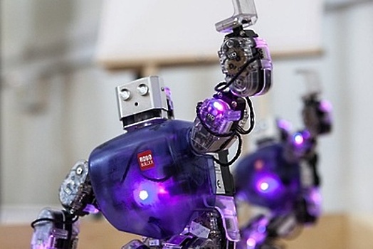 Робот Теспиан Рус победил в рэп‑баттле в Москве робота Теспиана Брит