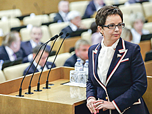 Савастьянова: парламент возьмёт под контроль работу над проектами по «регуляторной гильотине»