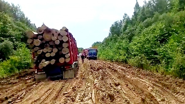 Фургал остановил лесовозы на исчезающей дороге в Хабкрае