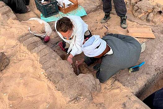 В Египте нашли 5000-летние кувшины с вином