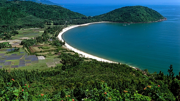 Как изменился турпоток из России во Вьетнам за девять месяцев