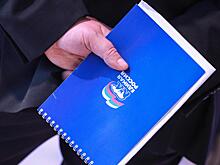 Врачи и Конституция помогут «Единой России» на выборах