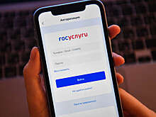 Григоренко: 3 млн человек воспользовались защитой от мошенников в Госуслугах