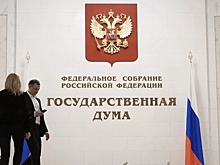 В Госдуме ответили на вопрос о возможном запрете второго гражданства