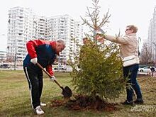 Чистый город - чистая Югра. Первомайские субботники прошли в регионе