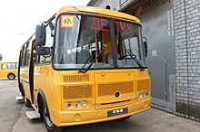 Нижегородских школьников будут перевозить специализированные автобусы