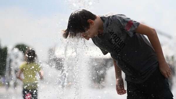 Вильфанд назвал регионы, которым больше всего досталось от аномальной жары