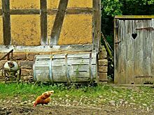 Жидким отходам хотят перекрыть путь в водоемы