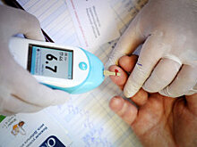 Томские ученые будут тренировать мышей-диабетиков