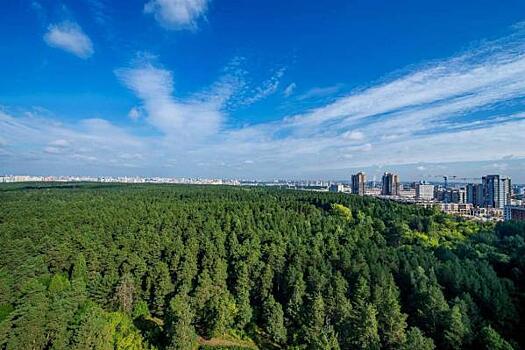 Губернатор Текслер дал старт проекту зеленого пояса вокруг Челябинска
