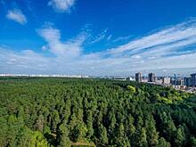 Губернатор Текслер дал старт проекту зеленого пояса вокруг Челябинска