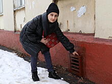 Столичные чиновники опровергли информацию о замурованных кошках