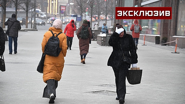 Метеоролог Позднякова спрогнозировала метель в Москве 7 февраля