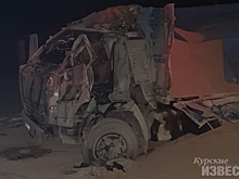 В Курской области произошло смертельное ДТП с двумя грузовиками