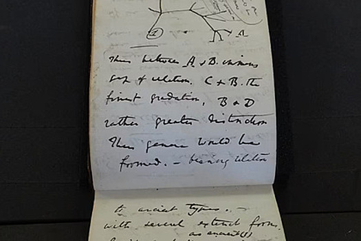 Похищенные рукописи Чарльза Дарвина вернули в библиотеку