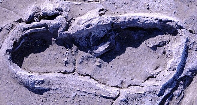 Рядом с вулканом в Африке нашли древние следы людей