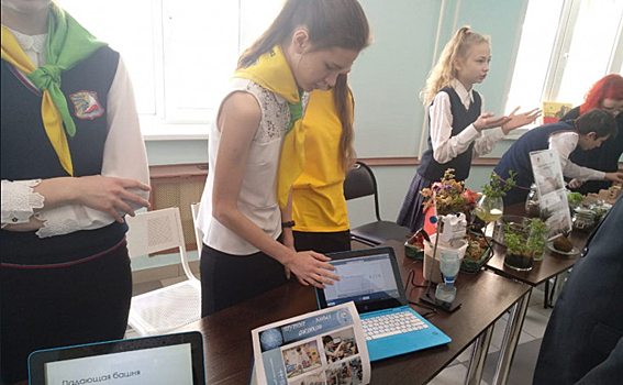 «Урок цифры» преподали новосибирским школьникам